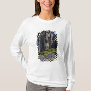Schottisches Nationalkriegsdenkmal, Edinburgh T-Shirt