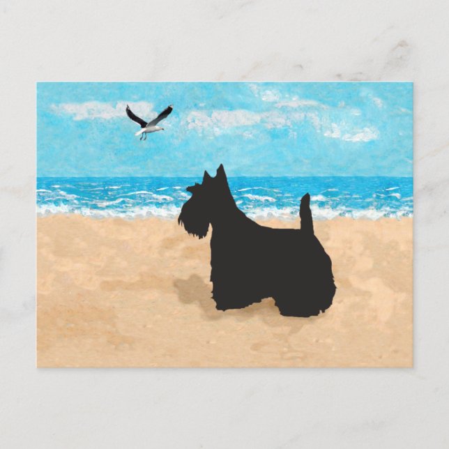 Schottland am Strand mit Seagull Postkarte (Vorderseite)