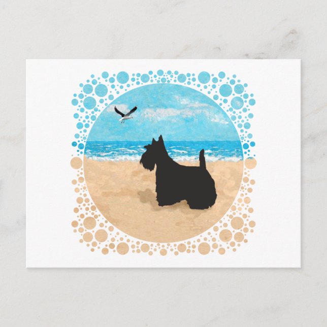 Schottland am Strand mit Seagull Postkarte (Vorderseite)