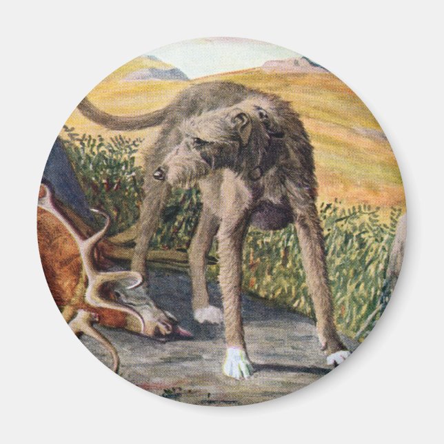 Schottland deerhound magnet (Vorne)