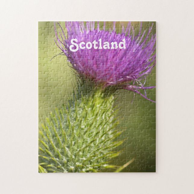 Schottland-Distel Puzzle (Vertikal)