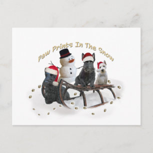 Schottland hat Zeit zum Spielen Postkarte