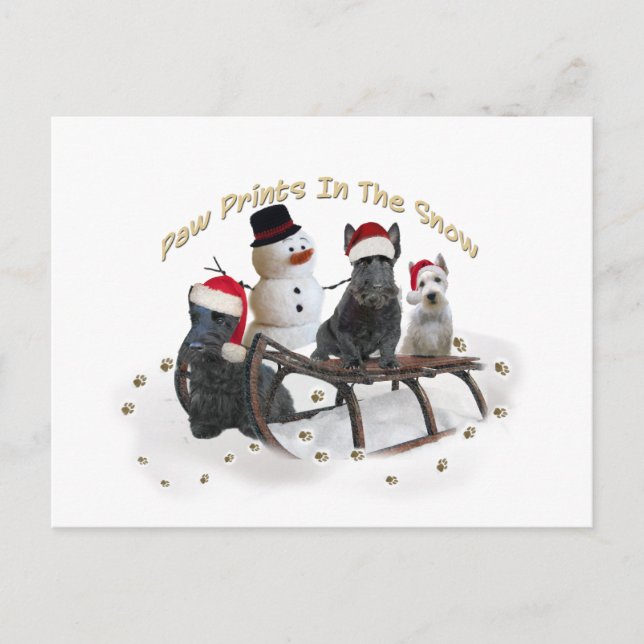 Schottland hat Zeit zum Spielen Postkarte (Vorderseite)