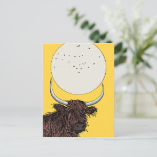 Schottland Highland Cow Postkarte