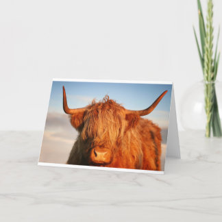 Schottland Highland Cow - Schottland Karte