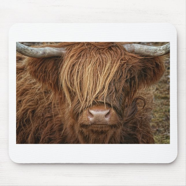 Schottland Highland Cow - Schottland Mousepad (Vorne)