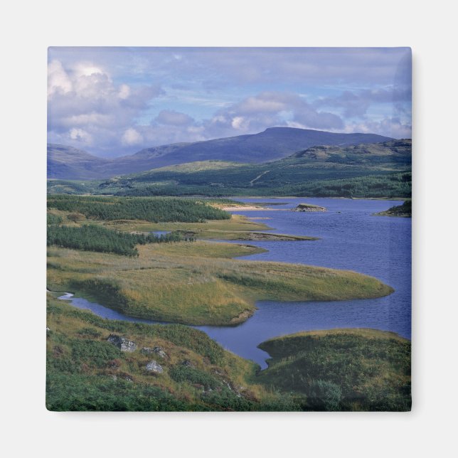 Schottland, Highland, Wester Ross, Loch Garry. An Magnet (Vorne)