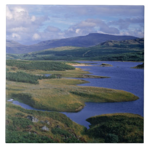 Schottland, Highland, Wester Ross, Loch Garry. Ein Fliese