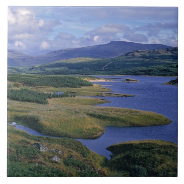 Schottland, Highland, Wester Ross, Loch Garry. Ein Fliese (Vorderseite)