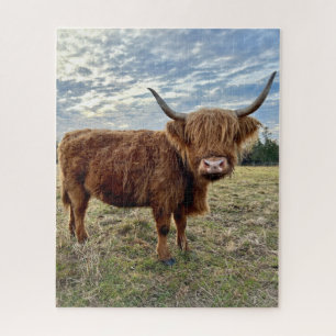 Schottland-Hochland-Kuhzuchtgebiet Puzzle