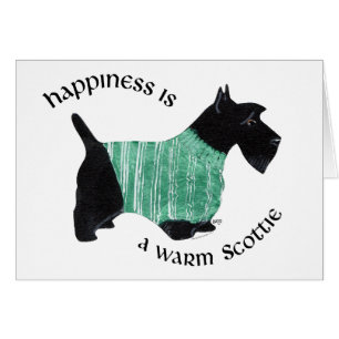 Schottland in einem grünen StrickSweater