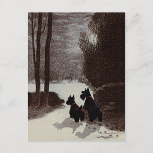 Schottland in Surreal Winter Night Postkarte