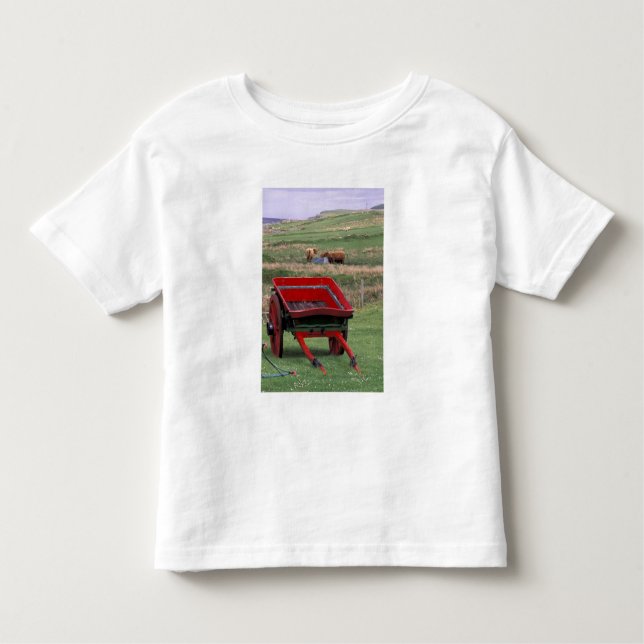 Schottland, Insel Skye, Kilmuir. Nutztiere Kleinkind T-shirt (Vorderseite)