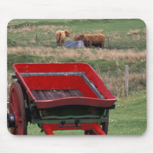 Schottland, Insel Skye, Kilmuir. Nutztiere Mousepad