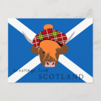 Schottland-Kuh mit Tartan-Kappe und Flagge