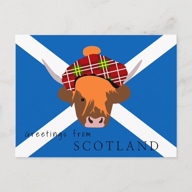 Schottland-Kuh mit Tartan-Kappe und Flagge Postkarte (Vorderseite)