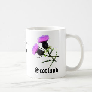 Schottland-Pfeifer, Blumendistel Tasse