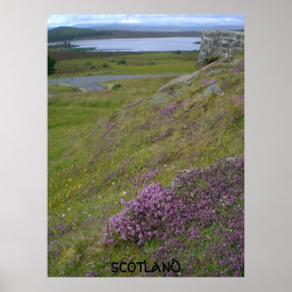 Schottland-Poster Poster