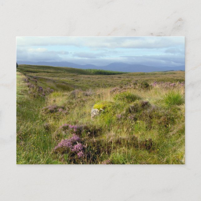 Schottland Postkarte (Vorderseite)