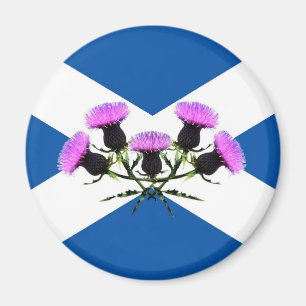 Schottlands Blume, Thistle Magnet