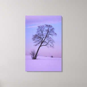 Schräger Baum im schneebedeckten Feld; Chippewa Co Leinwanddruck