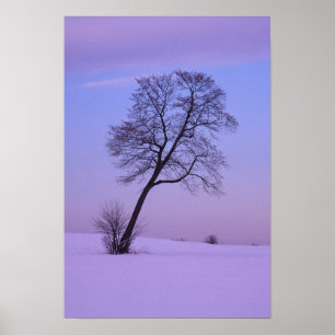 Schräger Baum im schneebedeckten Feld; Chippewa Co Poster