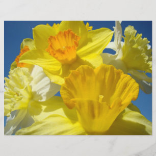 Schrapbookpapier Gelbe Narzissen Blumen