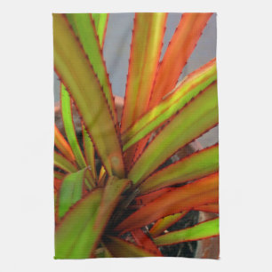 Schraubenkiefer Küchentuch