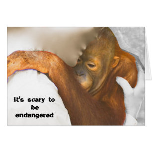 Schrecklich bedrohter Orangutan