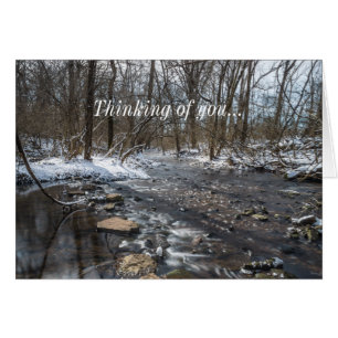 Schrei bei Sequiota Denken Sie an Ihre Karte