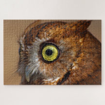 Schrei-Eule in den Stücken