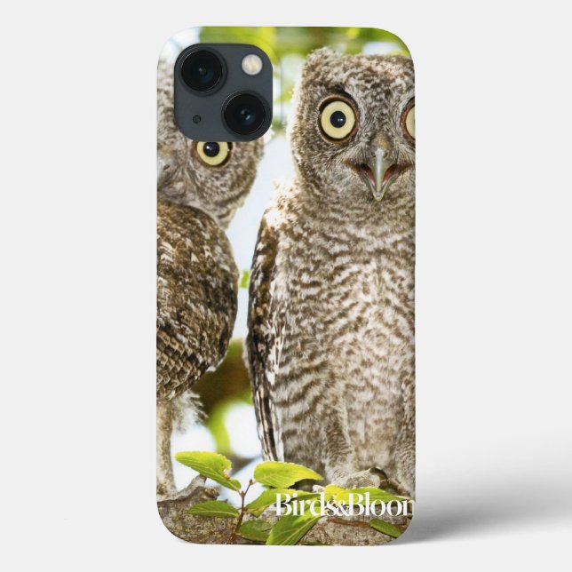 Schrei-Eulen-Küken Case-Mate iPhone Hülle (Rückseite)