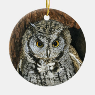 Schrei-Eulen-Weihnachtenc$verzierung-Aquarell Keramik Ornament