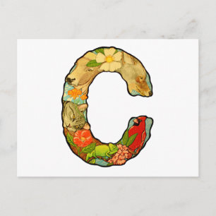 Schreiben C Postkarte
