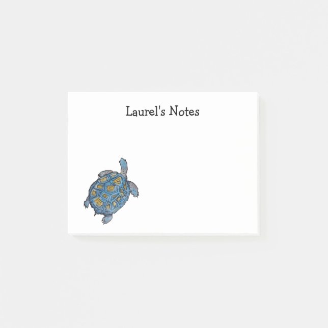 Schreiben Sie Notizen mit Wüstenschildkröte (Vorderseite)