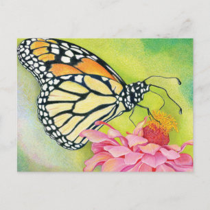 Schreiben von Postkarten an Demokraten - Butterfly