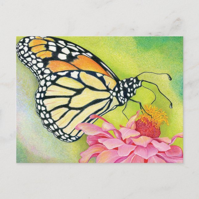 Schreiben von Postkarten an Demokraten - Butterfly (Vorderseite)