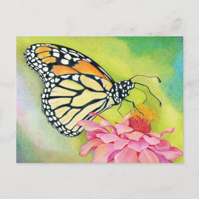 Schreiben von Postkarten an Demokraten - Butterfly (Vorderseite)
