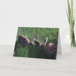 Schreibtischkarten von Hirsch Doe und Fawn sind in Dankeskarte