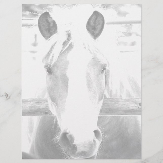 Schreibwaren (Vorderseite)