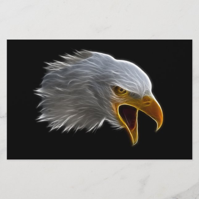 Schreie American Bald Eagle Head (Vorderseite)