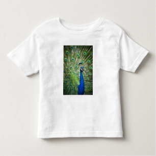 Schreiender Pfau Kleinkind T-shirt