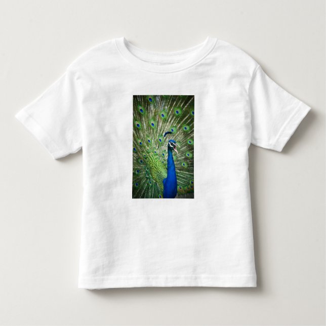 Schreiender Pfau Kleinkind T-shirt (Vorderseite)