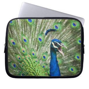 Schreiender Pfau Laptopschutzhülle
