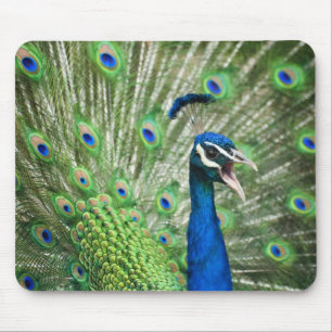 Schreiender Pfau Mousepad
