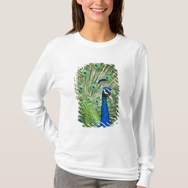 Schreiender Pfau T-Shirt (Vorderseite)