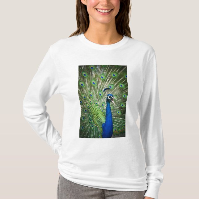 Schreiender Pfau T-Shirt (Vorderseite)