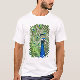 Schreiender Pfau T-Shirt