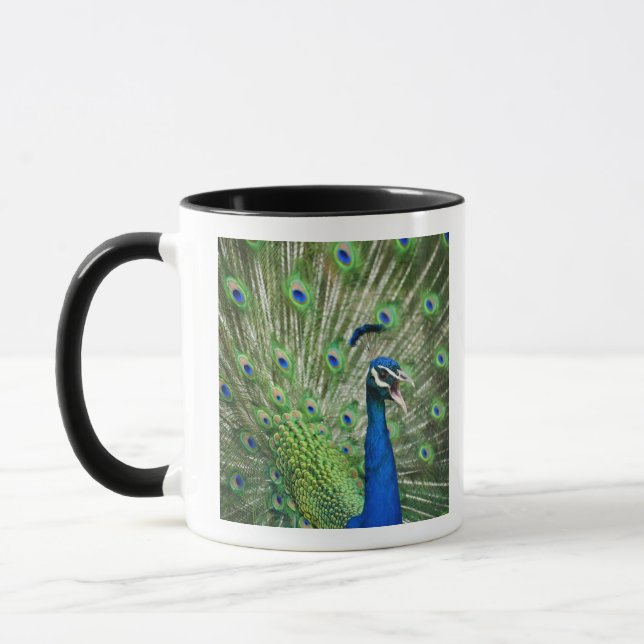 Schreiender Pfau Tasse (Links)
