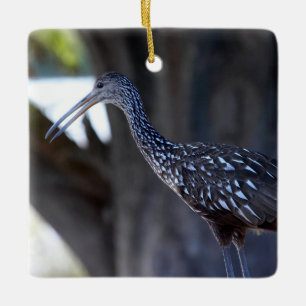 Schreitvogel, Der Weinende Vogel Keramikornament